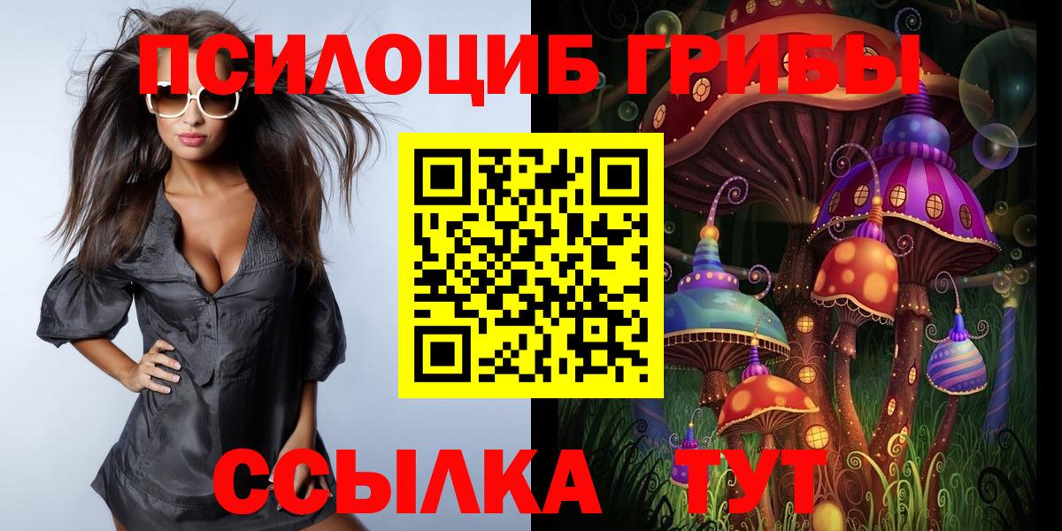 Галлюциногенные грибы GOLDEN TEACHER Благовещенск